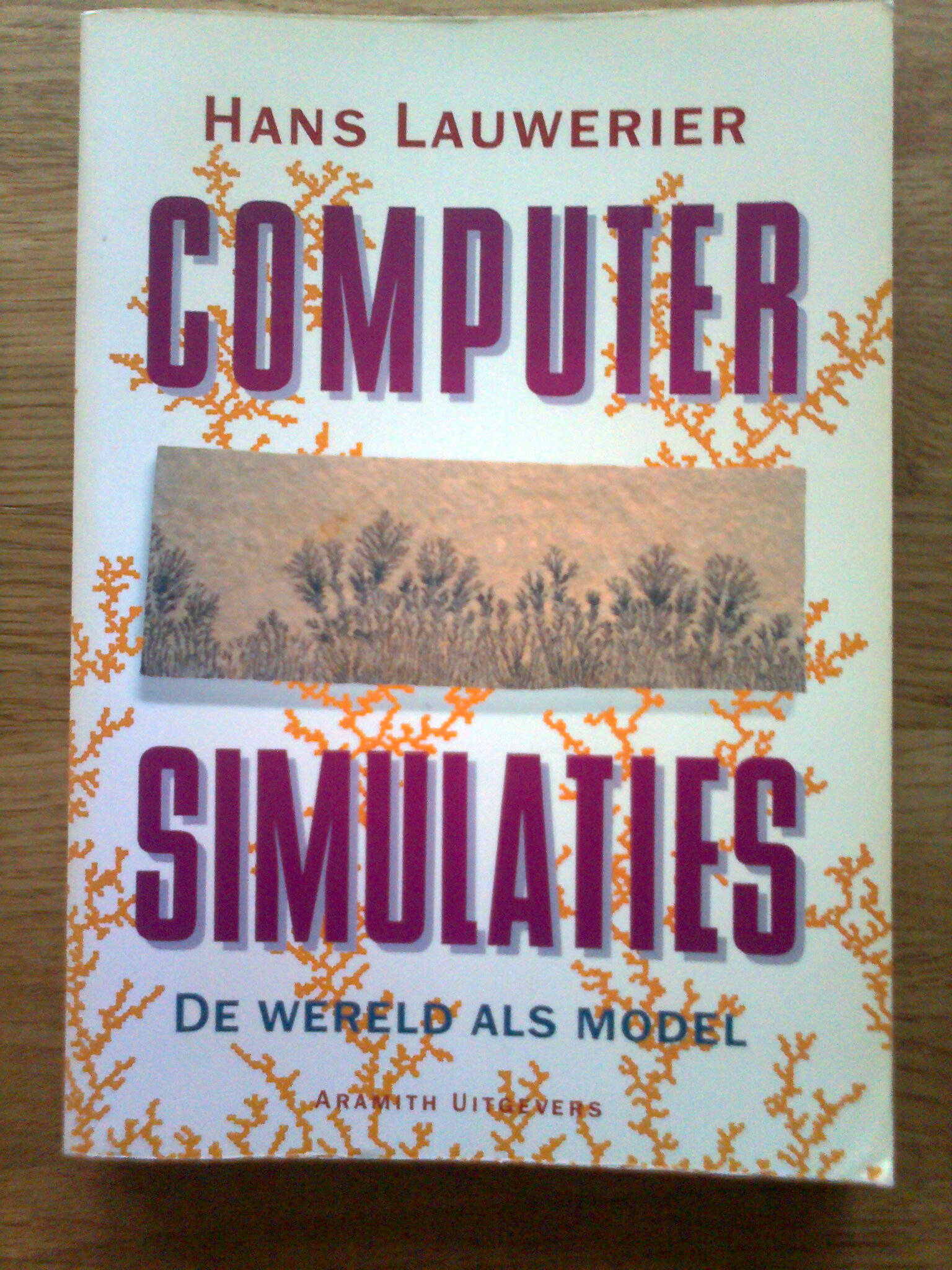 Computer Simulaties - De wereld als model