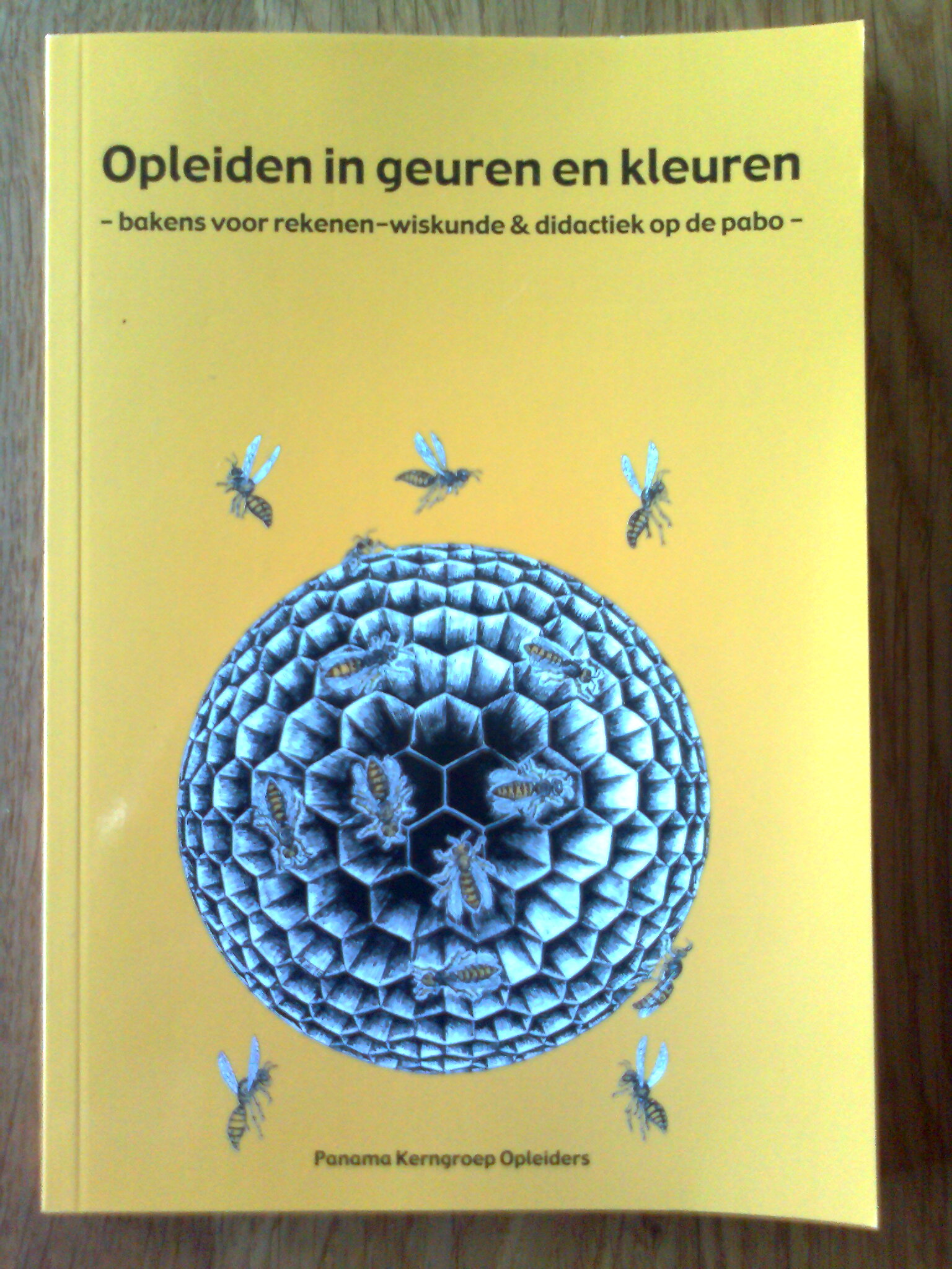 Opleiden in geuren en kleuren - bakens voor rekenen-wiskunde & didactiek op de pabo