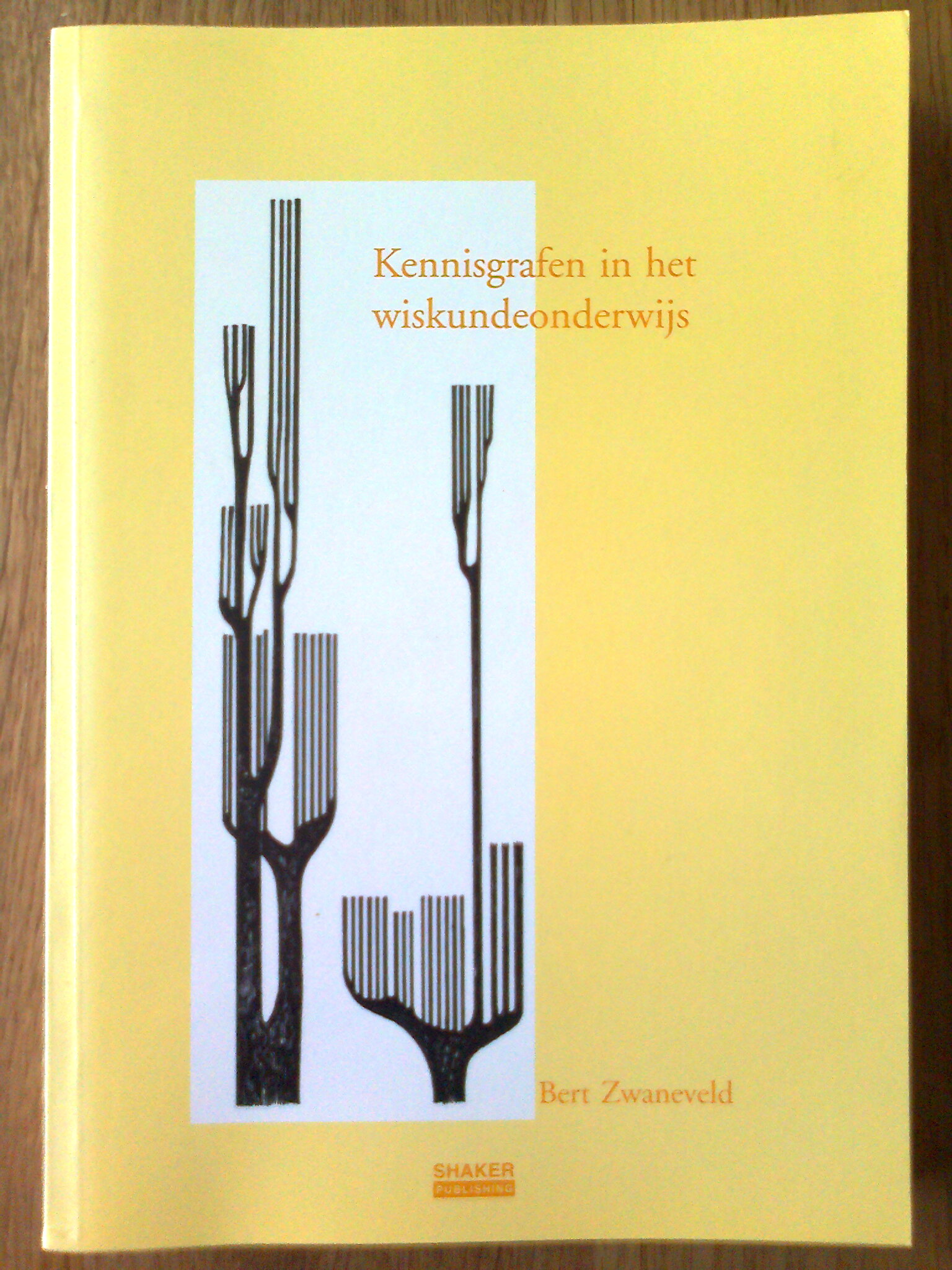 Kennisgrafen in het wiskundeonderwijs