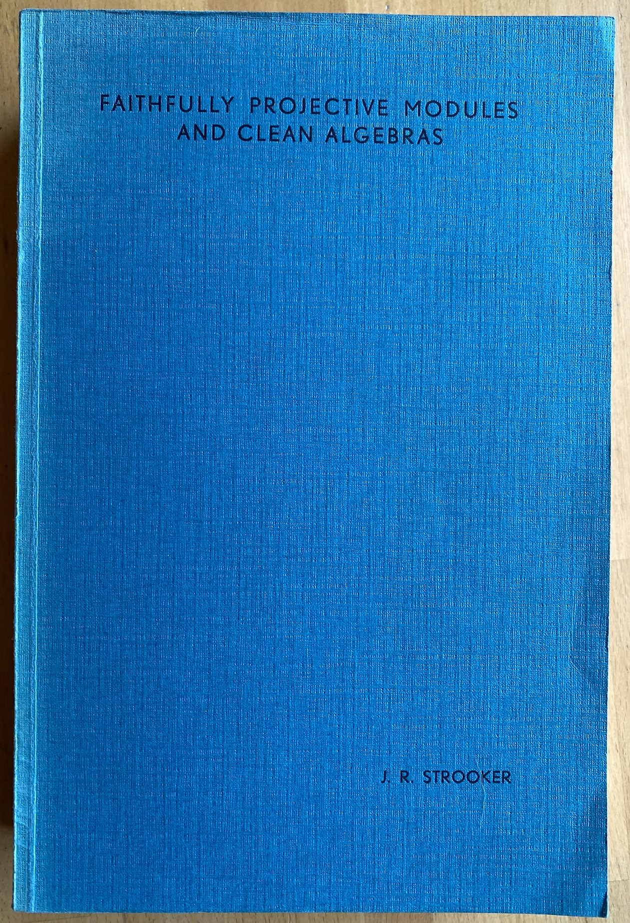 Faithfully Projective Modules And Clean Algebras