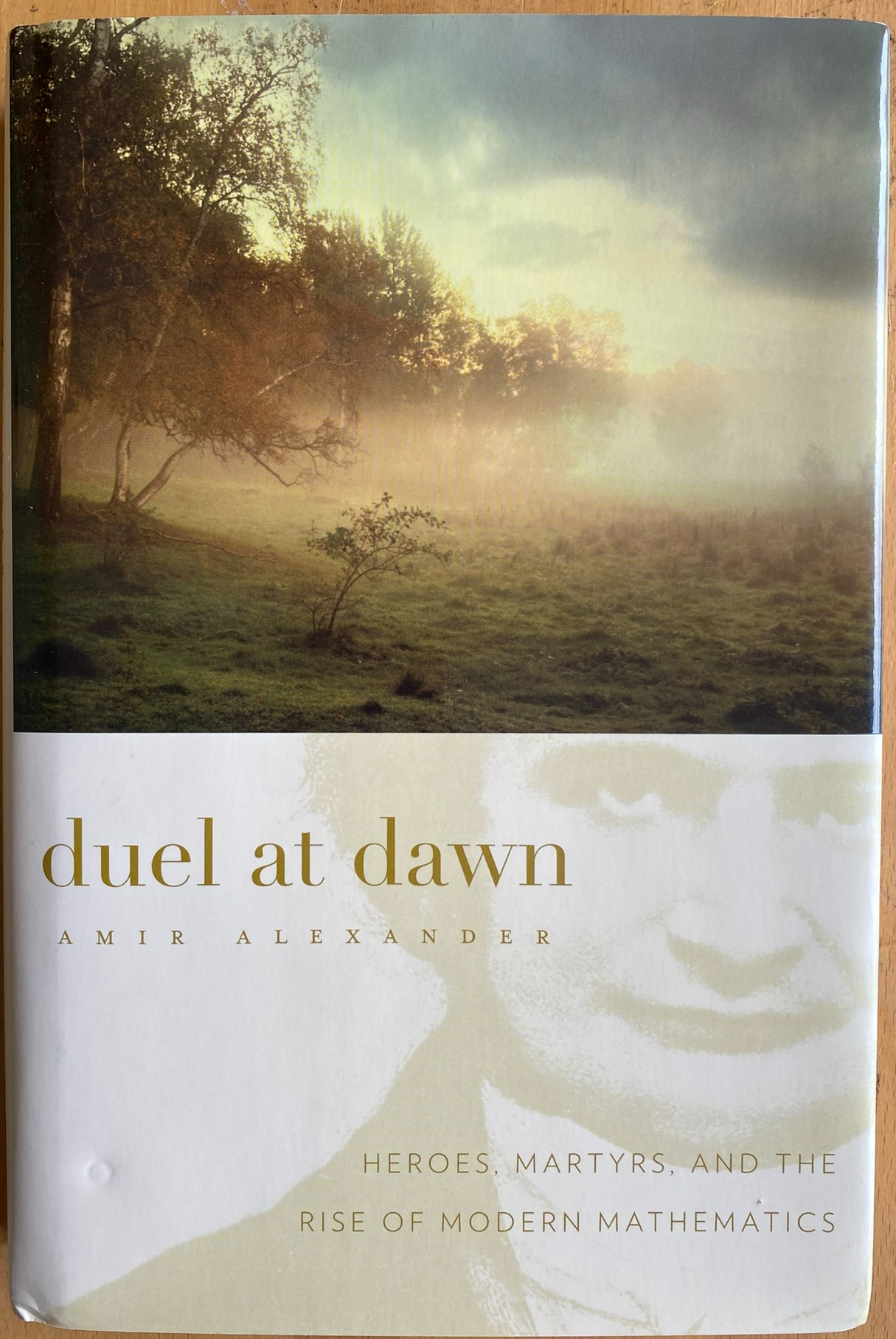 Duel at Dawn - Heroes Martyrs and the Rise of Modern Mathematics