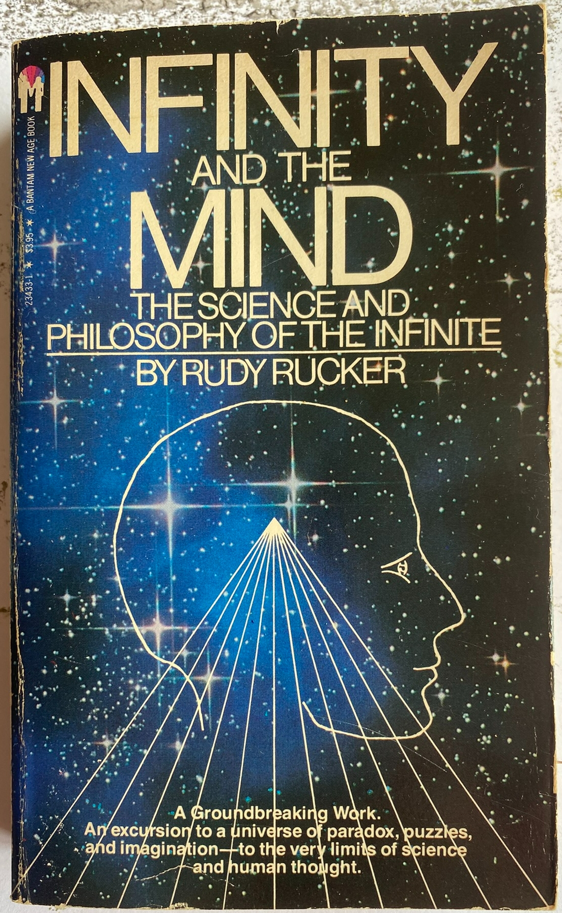 Infinity and the Mind
