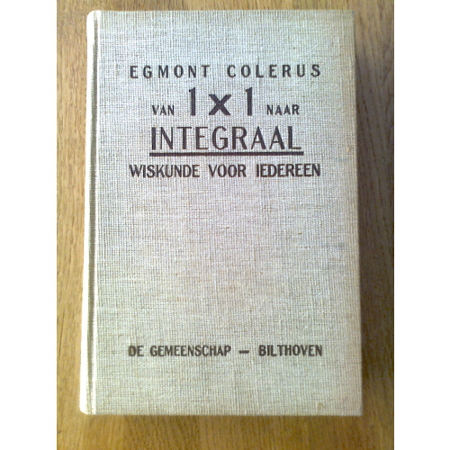 Van 1x1 naar Integraal