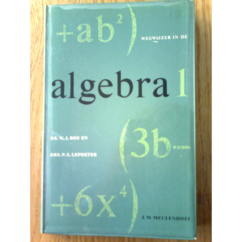 Wegwijzer in de algebra - deel I
