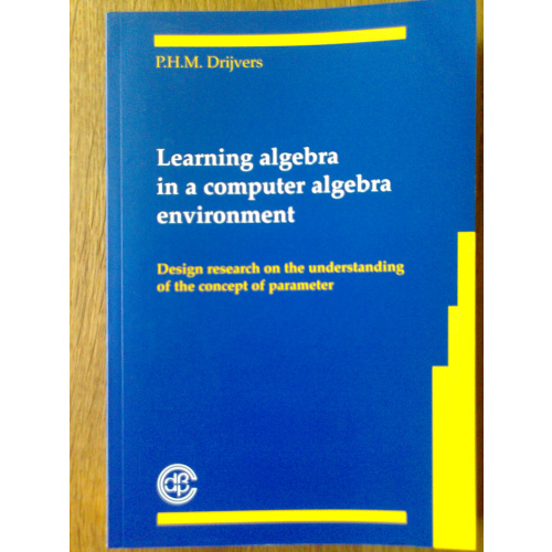 Learning algebra in a computer algebra environment