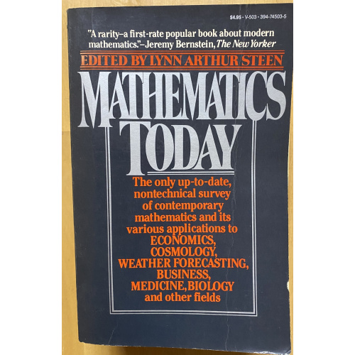 Mathematics Today (twelve informal essays)