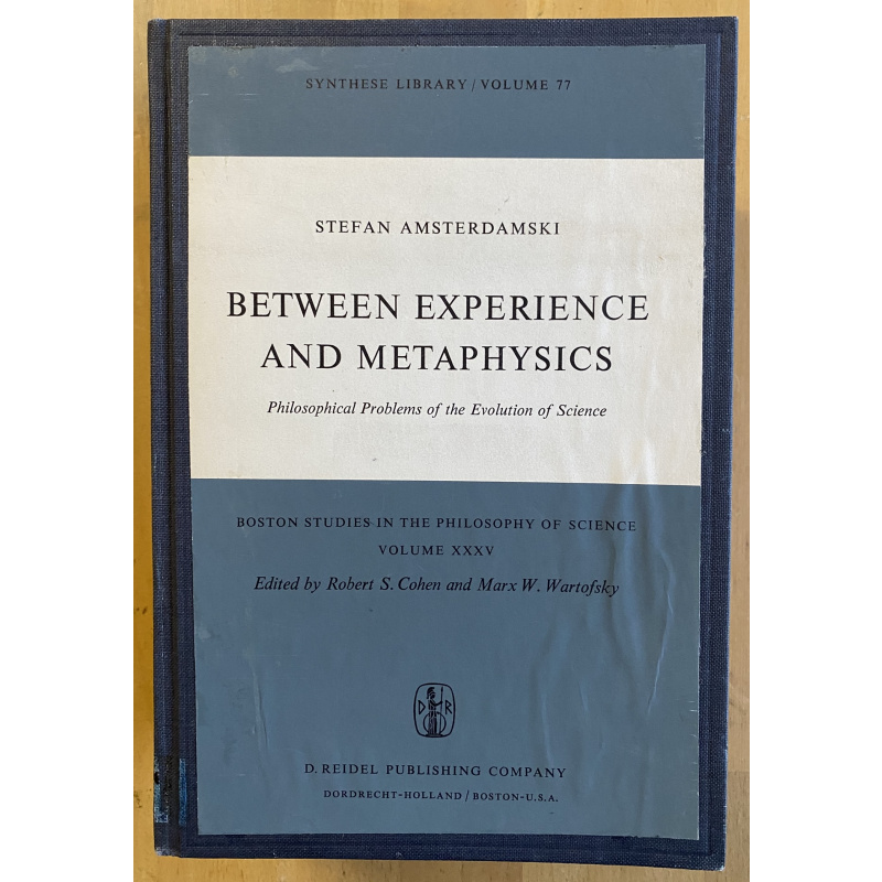 Between Experience And Metaphysics